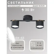 Потолочный светильник Aitin-Pro F60309/2 (черный/золото)