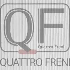 Салонный фильтр QUATTRO FRENI QF20Q00014 HONDA Jazz 02-08 1.2, 1.3, SUZUKI Swift 05- 1.2-1.6, FIAT Sedici