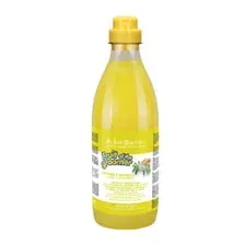 Шампунь для животных Iv San Bernard Fruit of the Groomer Ginger&Elderbery против раздражений (1л)