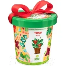 Набор для опытов Happy plant Томат черри hpn-7