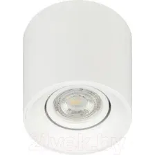 Спот ЭРА OL25-1 Б0054383