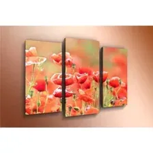 Модульная картина Arthata m-000576 120x80
