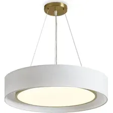 Подвесная люстра Freya Cozy FR6170PL-L52BS