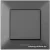 Выключатель Panasonic Arkedia Slim WNTC00012DG-BY