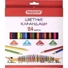 Набор цветных карандашей Пифагор Веселая такса 181808 (24цв)