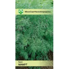 Семена Агромаркет Укроп Мамут (2г)