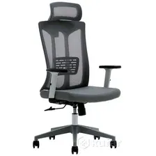Офисное кресло Evolution ErgoLine 4 (серый)