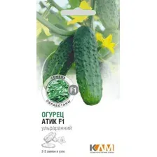 Огурец Атик F1, 10 шт