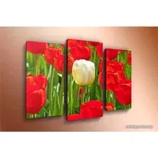 Модульная картина Arthata m-000570 120x80