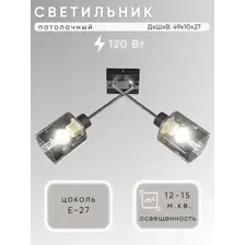 Потолочный светильник Aitin-Pro НПБ 02-2x60-102 / 51590/2 (хром/черный)