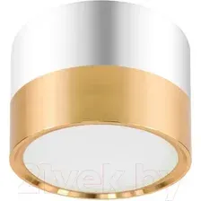 Точечный светильник ЭРА OL7 GX53 GD/CH, Б0048532