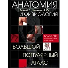 Книга издательства Эксмо. Анатомия и физиология. Большой популярный атлас (Билич Габриэль Лазаревич/Зигалова Елена Юрьевна)