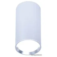 Точечный светильник Ambrella light TN219 SL/S