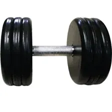 Гантель MB Barbell Классик, 30кг, хром