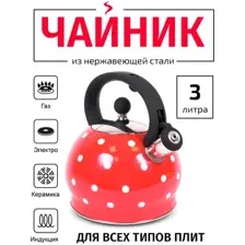 Чайник со свистком TimA WTK241C