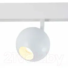 Трековый светильник ST Luce Bole ST354.546.12