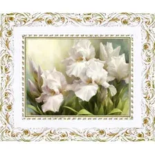 Картина Декарт Белые Ирисы 2 8Л0742 (в раме)