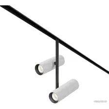 Трековый светильник Maytoni Elti Duo TR005-4-2X12W-DS-BW