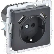 Розетка IEK Brite BR-R14-16-U21-D21-K53