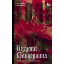 Безумие Гёльдерлина. Жизнь, поделённая надвое