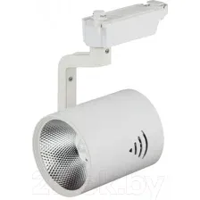 Трековый светильник ЭРА TR1-30 WH / Б0032099 (белый)