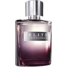 Туалетная вода Avon Elite Gentleman EdT (75 мл)