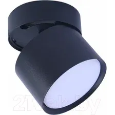 Спот Truenergy 21006
