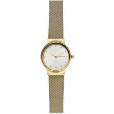 Наручные часы Skagen SKW2717