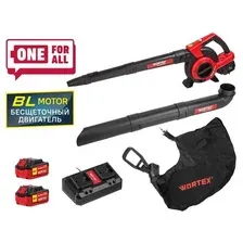 Аккум. воздуходувка WORTEX BB 2536-1 D в кор. ALL1 XLT SET БЕСЩЁТ.ДВИГ., 18В+18В, 2акб, 4 Ач, мак