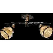 Спот Aitin Pro НПБ 02-2x60-101 6291/2 (черный/золото)