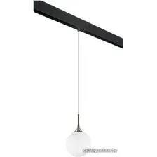 Подвесная люстра Lightstar Globo PRO813021