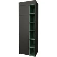 Шкаф Рэйгрупп Рэй S257-B1-WKZ В1 (дуб веллингтон/кобальт/зеленый самшит)