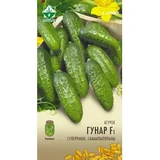 Семена МинскСортСемОвощ Огурец. Гуннар Эксперт F1 (10шт)