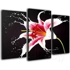 Модульная картина Arthata m-000292 75x50