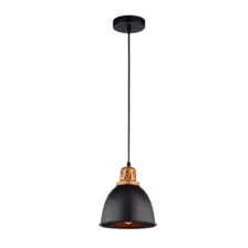 Светильник Arte Lamp Eurica A4245SP-1BK