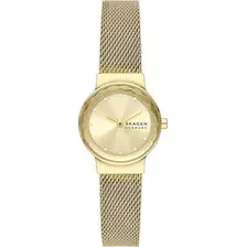 Наручные часы Skagen SKW3110