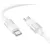 Кабель Borofone BX106 USB Type-C - USB Type-C 1 м, белый BOROFONE 13529