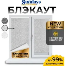 Рулонная штора Sundays Home LM 97-08 43х160 (светло-серый)