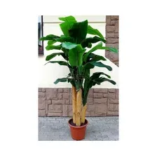 Искусственное растение FORGARDEN Банан Banana tree 210 см (FGN_BF01710)