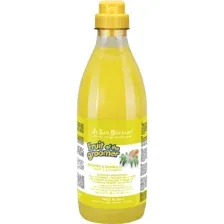 Шампунь для животных Iv San Bernard Fruit of the Groomer Ginger&Elderbery против раздражений (1л)