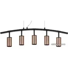 Подвесная люстра Lightstar Rullo LR735305