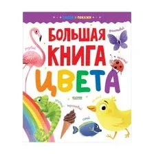 Большая книга. Цвета