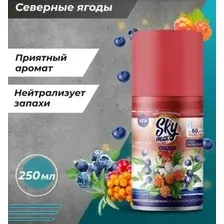 Сменный блок для освежителя воздуха Sky Max Северные ягоды (250 мл)