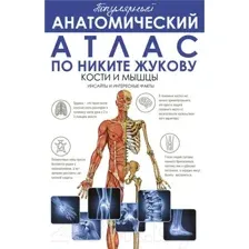 Нехудожественная книга АСТ Популярный анатомический атлас по Никите Жукову (Жуков Н.Э.)