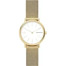 Наручные часы Skagen SKW2693