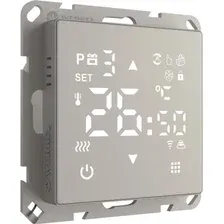 Терморегулятор Werkel W1151217 a065138 (дымчатый)