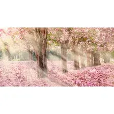 Фотообои Citydecor Сказочная природа 5 500х260