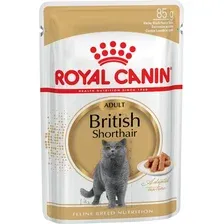 Royal Canin British Shorthair Adult (соус) 85 г