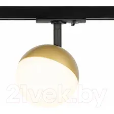 Трековый светильник ЭРА TR42-GX53 MG Б0054179 (матовое золото)