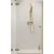 Душевая дверь Radaway Essenza Pro Brushed Gold DWJ 100/L 10099100-99-01L